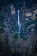 Winterfell The Stay, Unique River Front Resort