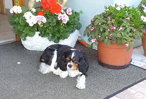 Landgasthaus Gemsennest