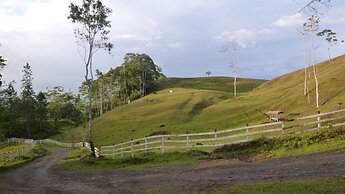 Finca Tres Equis - Farm and Forest