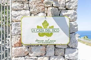 La Casa del Fico