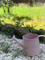 Alloggio Turistico Colosseo