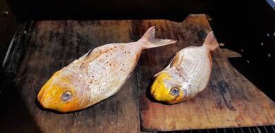 Ocean Villas Complex by Ocean Residences