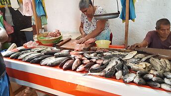 Casa Arcoiris Zihuatanejo