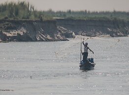 Living Irrawaddy Dolphin Project