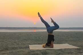 Living Irrawaddy Dolphin Project