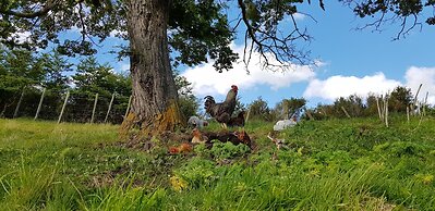 Estancia Bahía Esperanza