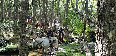 Estancia Bahía Esperanza