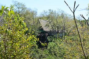 TreeTops
