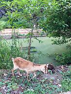 An Ngoc Tam Coc Bungalow