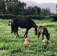 Casona Lo Aguirre Hotel y Convenciones