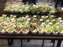 Enjoy House - Hostel