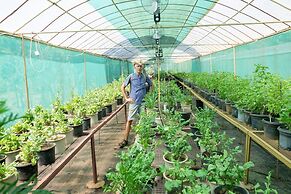 Mangaal Farmstay Goa