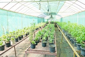 Mangaal Farmstay Goa