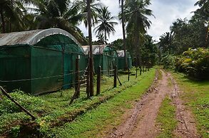 Mangaal Farmstay Goa