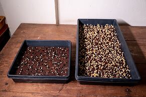 Mangaal Farmstay Goa