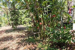 Mangaal Farmstay Goa