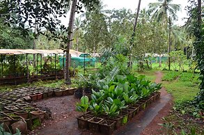 Mangaal Farmstay Goa