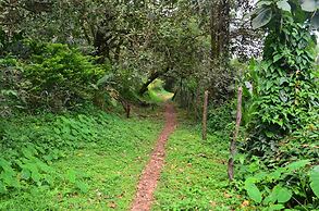 Mangaal Farmstay Goa