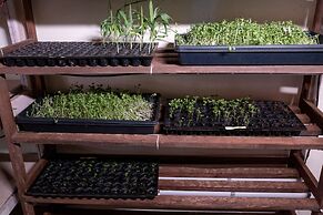 Mangaal Farmstay Goa