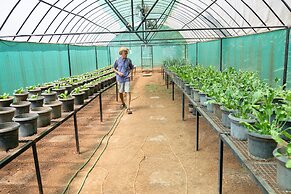 Mangaal Farmstay Goa