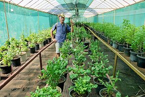 Mangaal Farmstay Goa