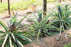 Mangaal Farmstay Goa