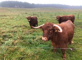 Sanddala Bed & Breakfast