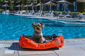 Acrotel Athena Residence