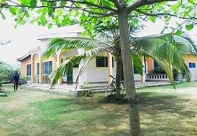 Twitter Paradise Guest House