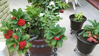 Hotel Posada del Rey