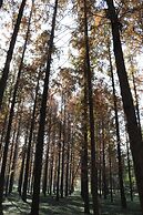 QueenSir International Hotel