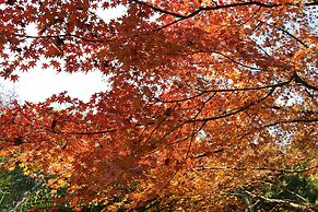 QueenSir International Hotel