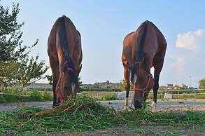 Bed & Breakfast Anna