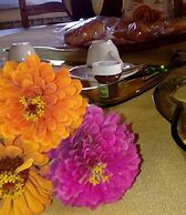 Bed & Breakfast Anna