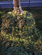 Bed & Breakfast Anna