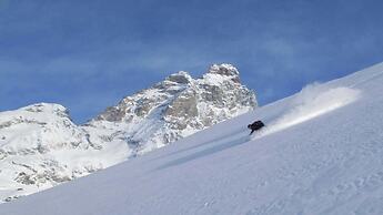 Les Neiges d'Antan