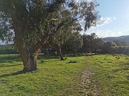 Village Camping  de l'Ostriconi