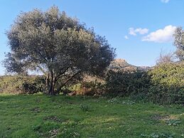 Village Camping  de l'Ostriconi