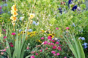 Beachview Bed & Breakfast