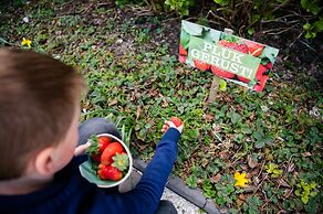 De Vlindertuin Ameland
