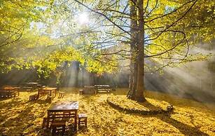 Tengchong Ginkgo Village Bencai Hotel