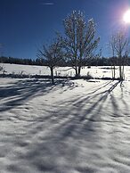 Le Tillau