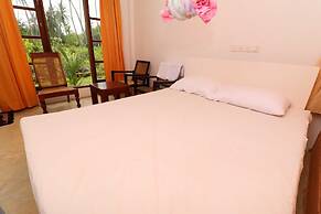 Yoho Milkyway Holiday Resort