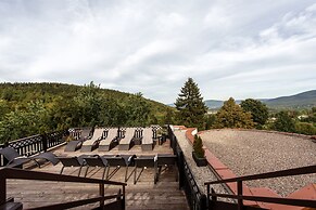Dziki Potok