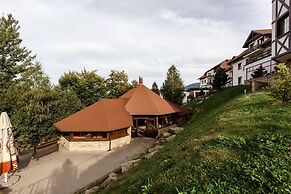 Dziki Potok