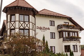 Dziki Potok