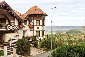 Dziki Potok