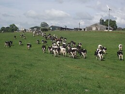 Broomhills Farm River Eco Pods