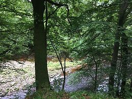 Broomhills Farm River Eco Pods