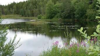 Tyforsgården